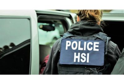 HSI-investigations-surge-over-previous-year