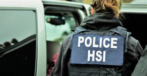 HSI-investigations-surge-over-previous-year