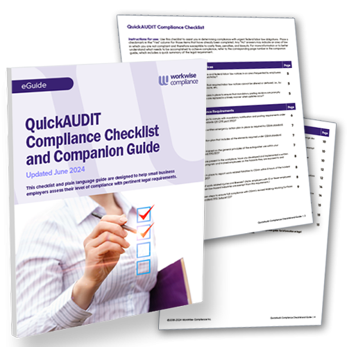 Compliance audit checklist