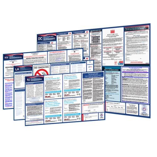WorkWise Compliance state-only labor law poster for workplace compliance display