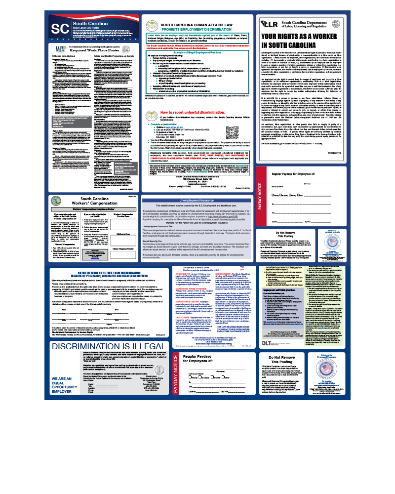 Employment Laws in South Carolina: Essential Guide for Employers