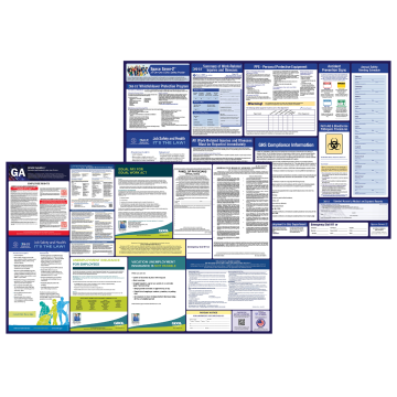 georgia labor law and osha safety posters bundle