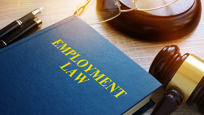 Key employment laws every business should understand – Workwise Compliance